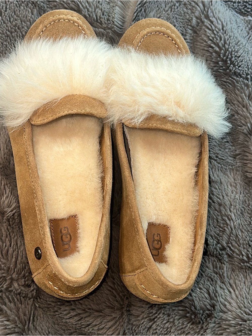 UGG Suede Loafer Chestnut
Brown Kaley Wisp. (Shoe 30)